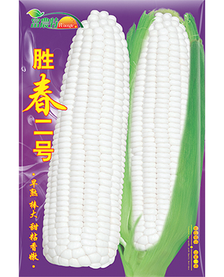 勝春二號(hào)