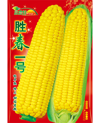 勝春一號(hào)